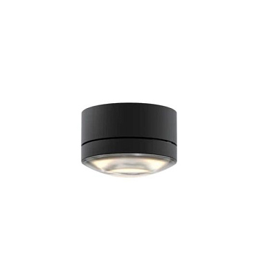 SE22-2 Grau Globe CEILING 12 UP BLACK Потолочный светильник черный