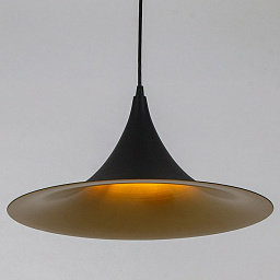 A7080SP-1BK Arte Lamp Carmel подвесной светильник с коническим металлическим плафоном