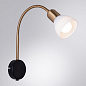 A3116AP-1BK Arte Lamp Falena бра E14 1х40W — фото 1