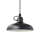 Black oak