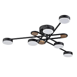 A2455PL-6BK Arte Lamp TAYGETA потолочная люстра