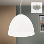 HL 6-1544/1 satin/Dekor Alaska Cone Orion подвесной матовый светильник — фото 1