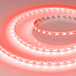012343(2) Arlight Лента RT-B60-10mm 12V Red (14.4 W/m, IP20, 5060, 5m) — фото 2