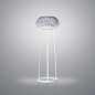 FN311013ML_25 Foscarini Caboche plus grande PT торшер с регулировкой яркости серый — фото 1
