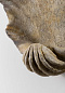 Настенный светильник Scallop Porta Romana TWL52S — фото 3