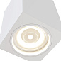 Потолочный светильник Alfa Maytoni белый C011CL-01W