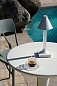 Настольная лампа Goodnight Cap Kartell — фото 4