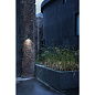 1003417 SLV ENOLA SQUARE M WL single anthracite настенный светильник — фото 13