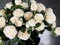 ERACLE BOUQUET Искусственное растение VGnewtrend — фото 1