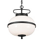 Opal 2 Light Pendant Textured Black подвесной светильник 52478BKT Kichler — фото 4