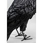 52704 Настольная лампа Animal Crow Mat Black 34cm Kare Design