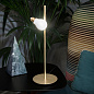 IDETM00BRS00000000EU Slamp настольная лампа — фото 1
