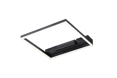 Потолочный светильник Frame Freya FR6084CL-L82B