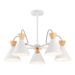 SLE125102-05 ST-Luce Modika потолочный светильник