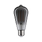 28864 Paulmann LED Corn 320 лм 7,5 Вт 1800 К с регулировкой яркости Дымчатое стекло — фото 4