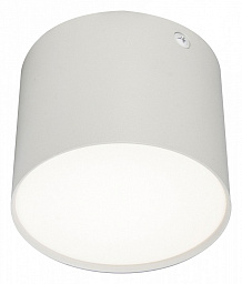 20004SMU/01LED SWH Escada 20004 потолочный светильник с фигурным корпусом