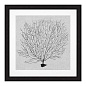 112752 Prints Shadow Sea Fans set of 4 Распечатать Eichholtz