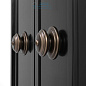 111111 Cabinet d'Alsace black finish Eichholtz