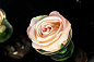 ETERNITY MINI ROSE малое цветочное украшение, VGnewtrend
