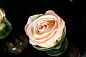 ETERNITY MINI ROSE малое цветочное украшение, VGnewtrend — фото 3