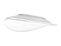 Diphy 8164