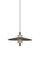 Pendant lamp THESEE M graphite