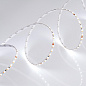 024506(2) Arlight Лента MICROLED-M240-4.5mm 24V White-CDW (9.6 W/m, IP20, 2216, 5m) — фото 1