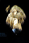 Enchanted faraway tree  Люстра Willowlamp D-DR-80(per/1m)-C