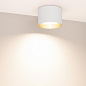 054914 Arlight Светильник SP-BISCOTTO-R120-12W Warm3300-MIX (WH-GD, 80 deg, 230V) — фото 2