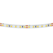 Лента белого свечения 24V Lightstar 420804