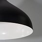 Подвесной светильник Arte Lamp KAYLA A7101SP-1BK — фото 2