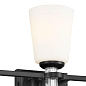 Rosalind 11.5" 3 Light Vanity Light Black настенный светильник 55147BK Kichler — фото 8