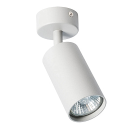 A3216PL-1GY Arte Lamp AQUARIUS спот
