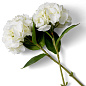 Искусственное растение Hydrangeas Eichholtz 119291 — фото 3