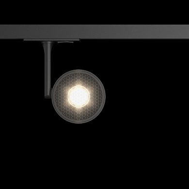 Трековый светильник Track lamps Maytoni черный TR024-1-10B3K