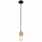A7048SP-1BK Arte Lamp Mark подвесной светильник 40W — фото 1