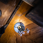 FN3260T000-51E00 Foscarini Fleur TL настольный светильник аккумуляторный белый — фото 4