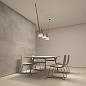 Belty set Denkirs ременной трековый комплект DK55SET01-04-BR — фото 1