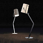 50570 2500 Fork Lodes торшер — фото 4