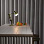 Настольная лампа Anglepoise 90 Mini Mini Зеленый авокадо 33297 — фото 3
