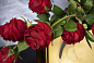 WALLET TRANSILVANIA ROSES Цветочная композиция со стеклянной вазой VGnewtrend