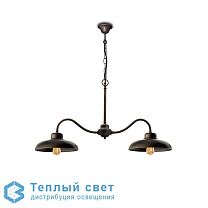 LAMPADARIO 2 LUCI OT. BRU-ANT