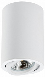 214406 Lightstar Rullo потолочный светильник