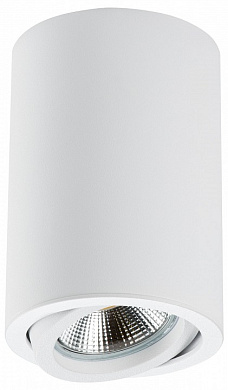 214406 Lightstar Rullo потолочный светильник, 50Вт, белый