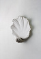 Настенный светильник Scallop Shell Porta Romana TWL52 — фото 4