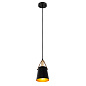 A7032SP-1BK Arte Lamp Thomas подвесной светильник E27 1х60W — фото 1