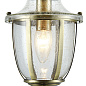 Подвесной светильник Zeil Maytoni бронза-прозрачный H356-PL-01-BZ