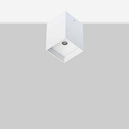 AW Flexa lighting Arik Потолочный светильник