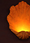Настенный светильник Scallop Small Porta Romana TWL52S — фото 12