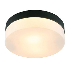 A6047PL-2BK Arte Lamp AQUA-TABLET потолочный светильник с полупрозрачным плафоном